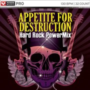 Appetite for Destruction - Hard Rock PowerMix 